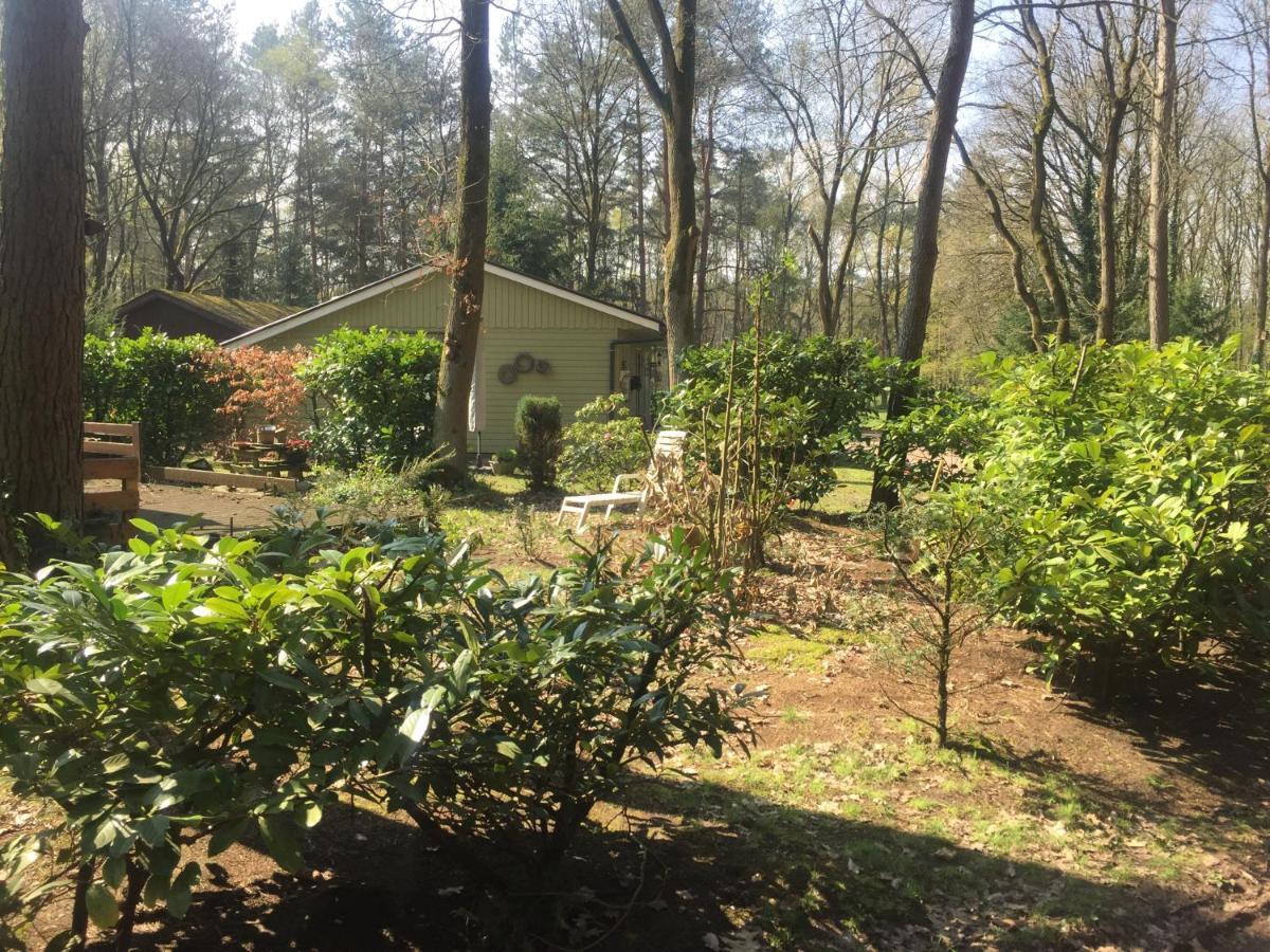 Chalet Sint Barbara Zutendaal Εξωτερικό φωτογραφία